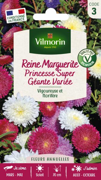 Fleurs - Reine-Marguerite Princesse Super Géante Variée - face recto